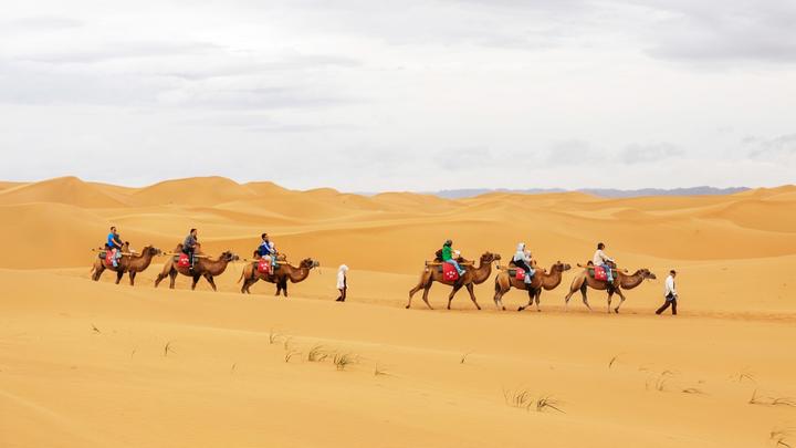 宁夏自由行超实用的游记行程攻略之沙漠骆驼