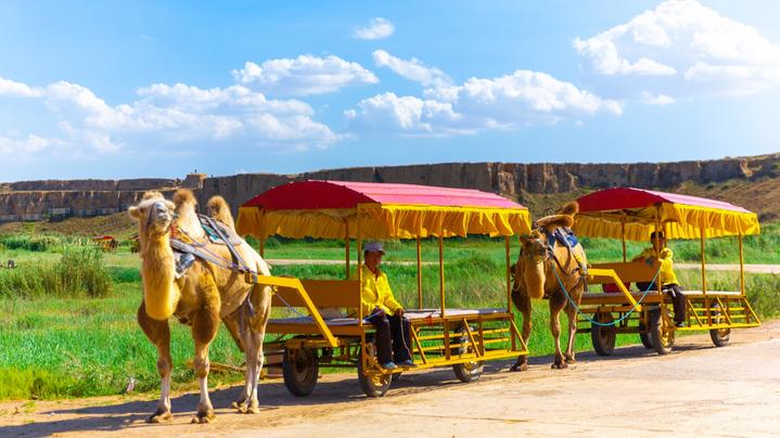 宁夏自由行超实用的游记行程攻略之坐骆驼车