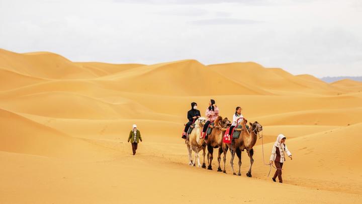 宁夏自由行超实用的游记行程攻略之骑着骆驼