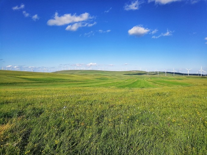 内蒙古赤峰自由行超实用美食景点攻略之灯笼河子草原