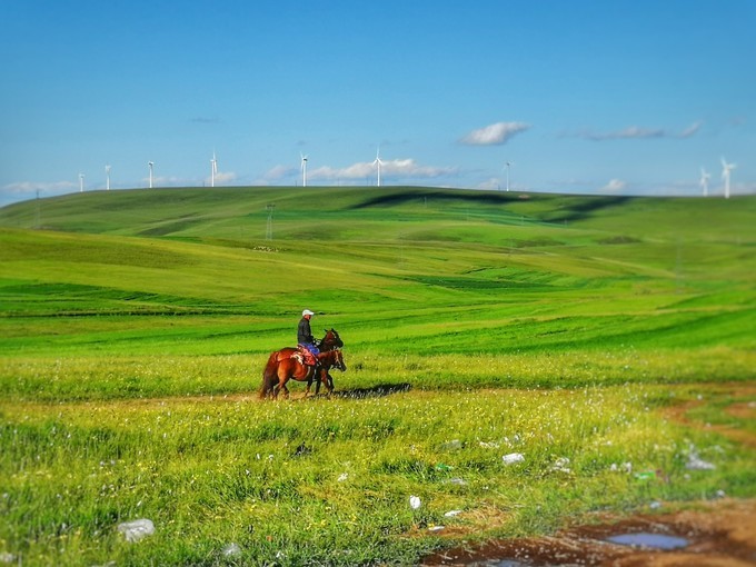 内蒙古赤峰自由行超实用美食景点攻略之灯笼河子草原