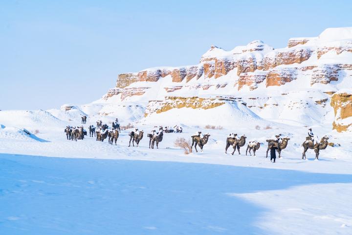 新疆克拉玛依超实用美食摄影旅游攻略之沙漠骆驼与雪